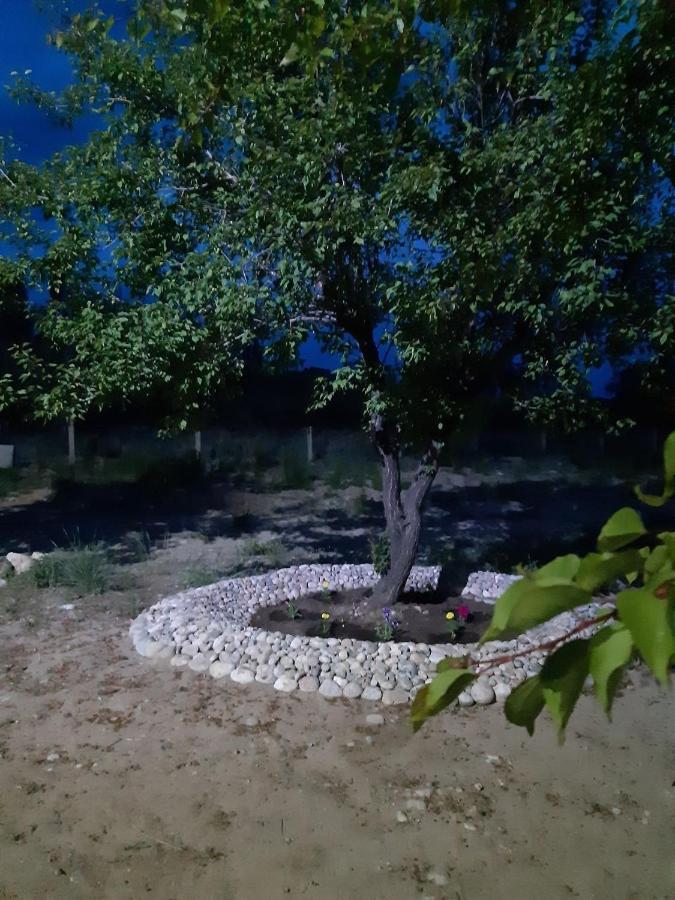 Yurt camp Meiman Ordo Bokonbayevo Exterior foto
